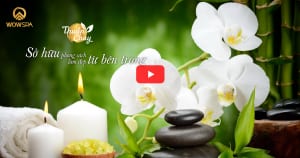 SẢN XUẤT VIRAL CLIP SPA