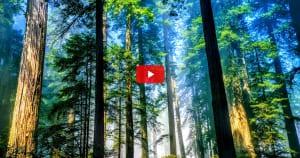 CLIP PHÓNG SỰ KINH TẾ - PRODUCTION BY M.O.C AGENCY