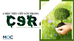 6 MỤC TIÊU CSR